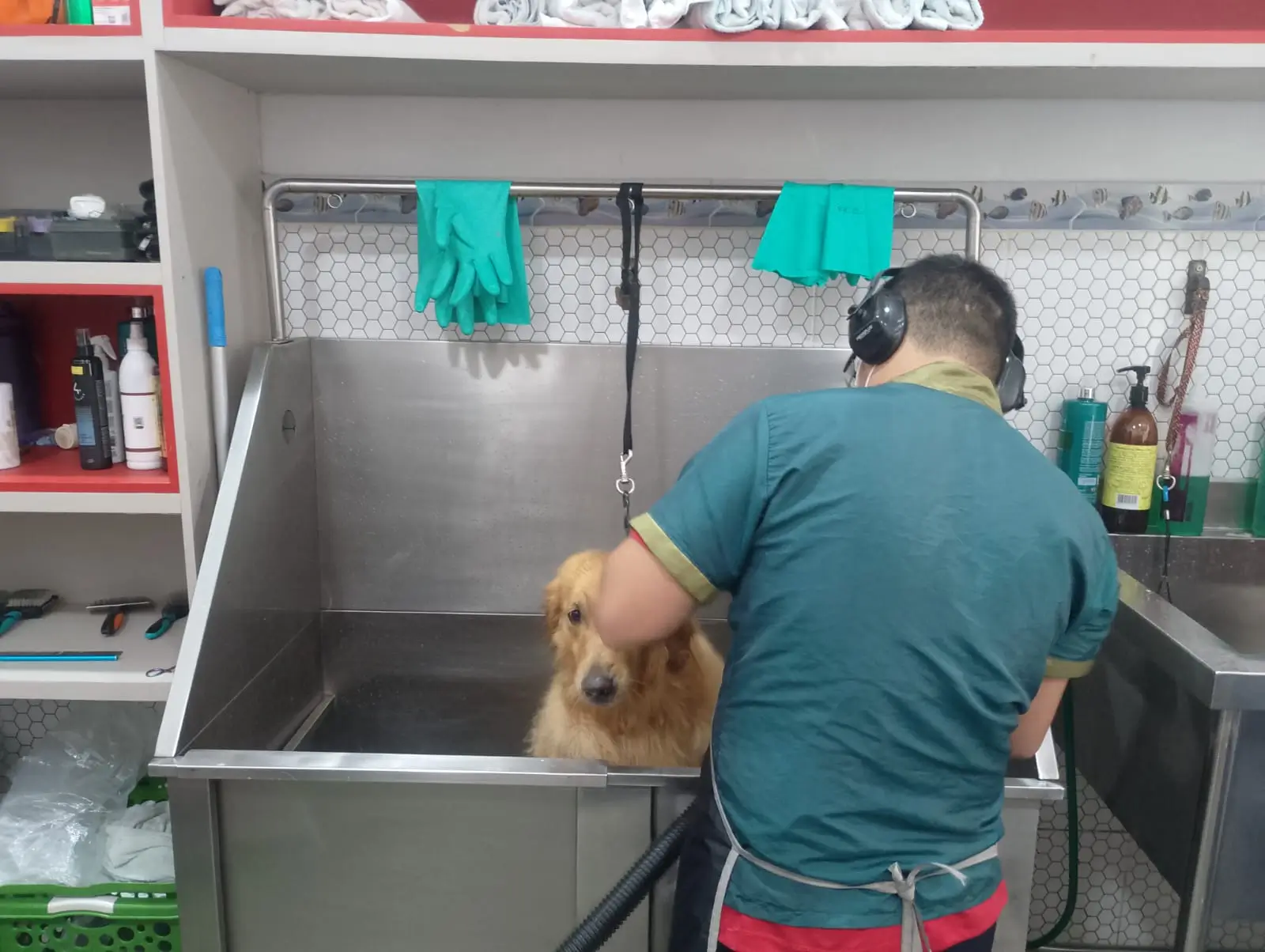 Trabalho realizado 5